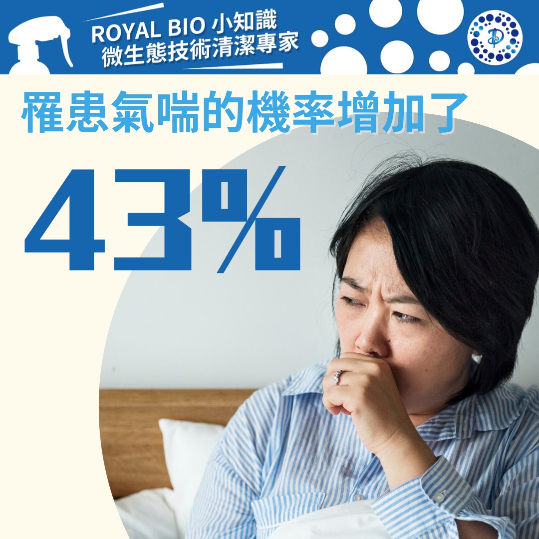 Royal Bio CP6 環保微生態多功能清潔劑500ml